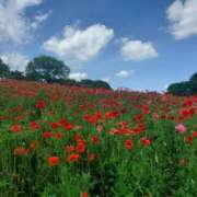 ヒメ日記 2025/05/06 22:19 投稿 えま ハイブリッドヘルス小岩中央