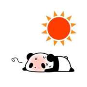 ヒメ日記 2025/06/19 15:29 投稿 えま ハイブリッドヘルス小岩中央