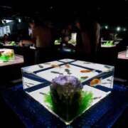 ヒメ日記 2025/06/20 22:19 投稿 えま ハイブリッドヘルス小岩中央