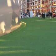 ヒメ日記 2025/07/24 18:59 投稿 えま ハイブリッドヘルス小岩中央