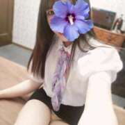 ヒメ日記 2025/09/16 08:29 投稿 えま ハイブリッドヘルス小岩中央