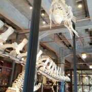 ヒメ日記 2025/09/19 19:59 投稿 えま ハイブリッドヘルス小岩中央