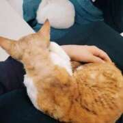 ヒメ日記 2025/10/20 23:39 投稿 えま ハイブリッドヘルス小岩中央