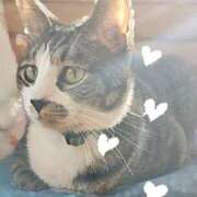 ヒメ日記 2026/01/04 11:49 投稿 えま ハイブリッドヘルス小岩中央