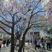 ヒメ日記 2026/03/23 21:19 投稿 えま ハイブリッドヘルス小岩中央