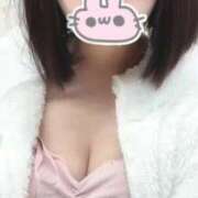 ヒメ日記 2025/03/22 19:10 投稿 ことり ウルトラドリーム