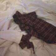 ヒメ日記 2025/03/23 08:10 投稿 ことり ウルトラドリーム