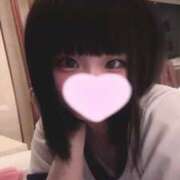 ヒメ日記 2025/03/26 08:19 投稿 ことり ウルトラドリーム