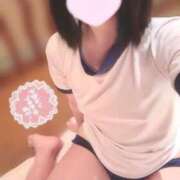 ヒメ日記 2025/03/26 12:19 投稿 ことり ウルトラドリーム