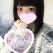 ヒメ日記 2025/03/29 15:59 投稿 ことり ウルトラドリーム