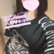 ヒメ日記 2025/04/05 12:49 投稿 ことり ウルトラドリーム