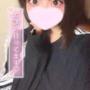 ヒメ日記 2025/04/08 17:49 投稿 ことり ウルトラドリーム