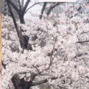 ヒメ日記 2025/04/11 17:49 投稿 ことり ウルトラドリーム