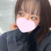 ヒメ日記 2025/04/15 12:13 投稿 ことり ウルトラドリーム