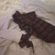 ヒメ日記 2025/04/15 15:25 投稿 ことり ウルトラドリーム