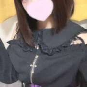 ヒメ日記 2025/04/29 18:59 投稿 ことり ウルトラドリーム