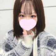 ヒメ日記 2025/05/06 18:19 投稿 ことり ウルトラドリーム