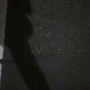 ヒメ日記 2025/05/11 08:21 投稿 ことり ウルトラドリーム