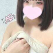 ヒメ日記 2025/05/13 08:19 投稿 ことり ウルトラドリーム