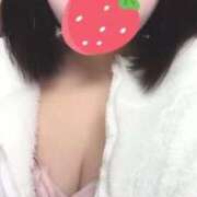 ヒメ日記 2025/05/21 16:20 投稿 ことり ウルトラドリーム