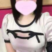 ヒメ日記 2025/05/22 08:09 投稿 ことり ウルトラドリーム