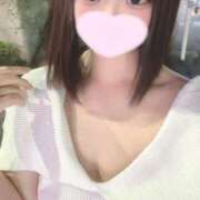 ヒメ日記 2025/05/24 12:19 投稿 ことり ウルトラドリーム