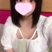 ヒメ日記 2025/05/31 08:09 投稿 ことり ウルトラドリーム