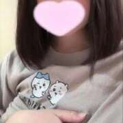 ヒメ日記 2025/05/31 12:09 投稿 ことり ウルトラドリーム