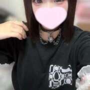 ヒメ日記 2025/06/12 08:29 投稿 ことり ウルトラドリーム