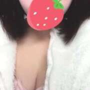 ヒメ日記 2025/06/13 08:20 投稿 ことり ウルトラドリーム