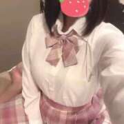 ヒメ日記 2025/06/13 11:49 投稿 ことり ウルトラドリーム