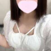 ヒメ日記 2025/06/18 08:20 投稿 ことり ウルトラドリーム