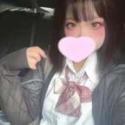 ヒメ日記 2025/06/27 08:19 投稿 ことり ウルトラドリーム