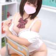 ヒメ日記 2025/07/01 08:19 投稿 ことり ウルトラドリーム