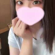 ヒメ日記 2025/07/09 15:19 投稿 ことり ウルトラドリーム