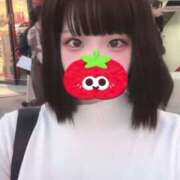 ヒメ日記 2025/07/11 17:09 投稿 ことり ウルトラドリーム