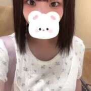 ヒメ日記 2025/07/15 08:09 投稿 ことり ウルトラドリーム