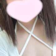 ヒメ日記 2025/08/08 12:09 投稿 ことり ウルトラドリーム