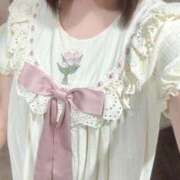 ヒメ日記 2025/08/13 16:09 投稿 ことり ウルトラドリーム