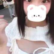 ヒメ日記 2025/08/29 12:39 投稿 ことり ウルトラドリーム