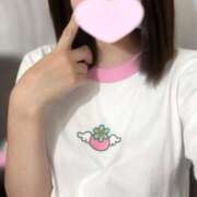 ヒメ日記 2025/08/30 10:09 投稿 ことり ウルトラドリーム