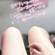 ヒメ日記 2025/09/10 08:09 投稿 ことり ウルトラドリーム