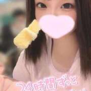 ヒメ日記 2025/09/21 08:20 投稿 ことり ウルトラドリーム