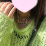 ヒメ日記 2025/10/03 08:09 投稿 ことり ウルトラドリーム