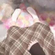 ヒメ日記 2025/10/17 12:15 投稿 ことり ウルトラドリーム