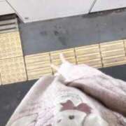 ヒメ日記 2025/10/27 08:09 投稿 ことり ウルトラドリーム