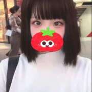 ヒメ日記 2025/10/28 12:09 投稿 ことり ウルトラドリーム