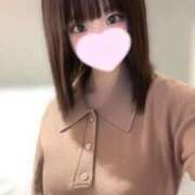 ヒメ日記 2025/11/11 08:19 投稿 ことり ウルトラドリーム