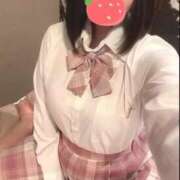 ヒメ日記 2025/11/12 11:49 投稿 ことり ウルトラドリーム