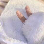 ヒメ日記 2025/11/14 23:59 投稿 ことり ウルトラドリーム